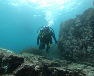 Mr. Torres personally funded an Expedition to the coastal waters in the South West Pacific Ocean.  The expedition, conducted in collaboration with NGOs sought to bring awareness to the damage of pollution to sea life